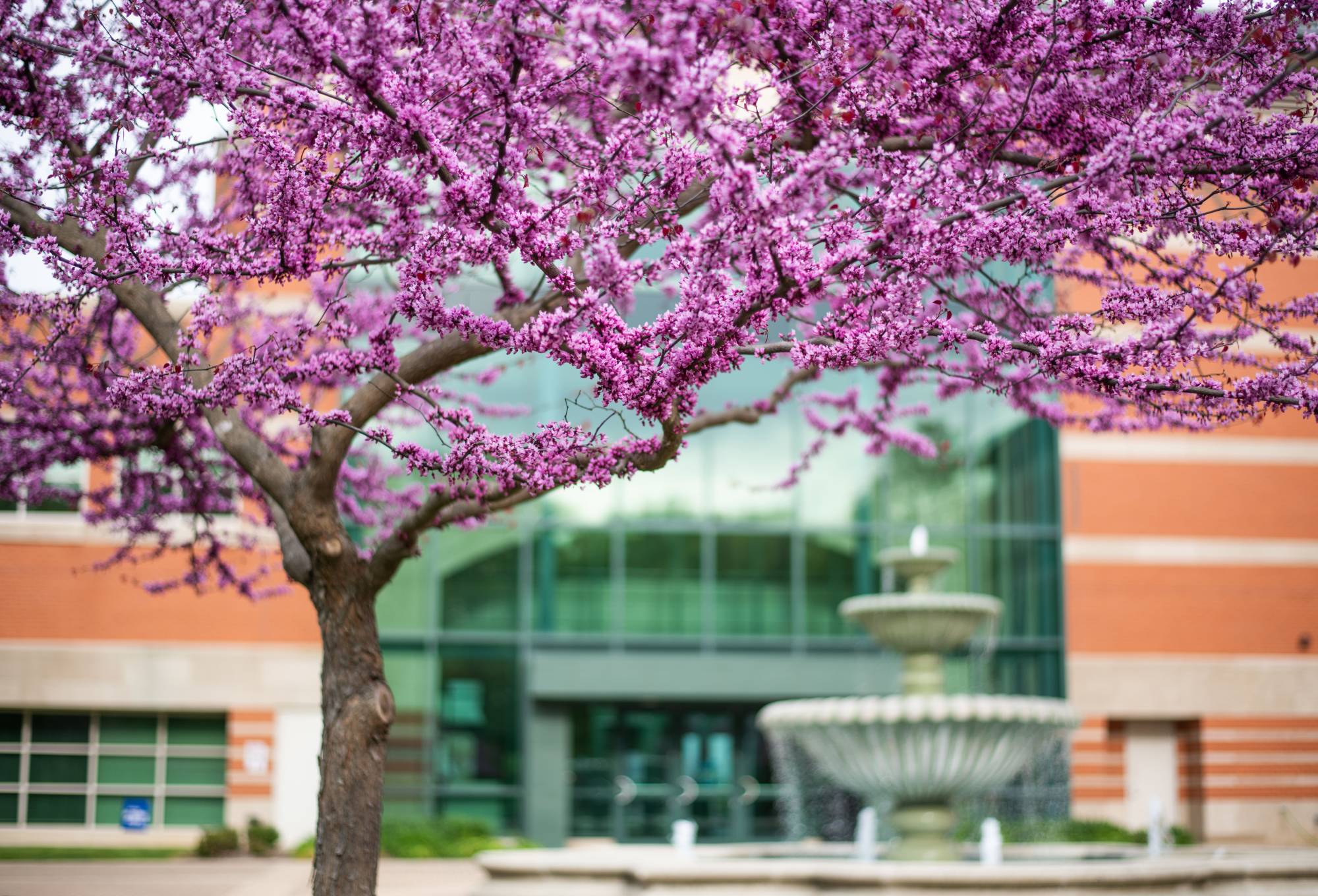 Image of GVSU Student Services building in spring. Link to Spring/Summer 2023 syllabi